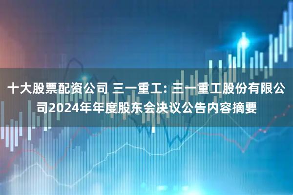 十大股票配资公司 三一重工: 三一重工股份有限公司2024年年度股东会决议公告内容摘要